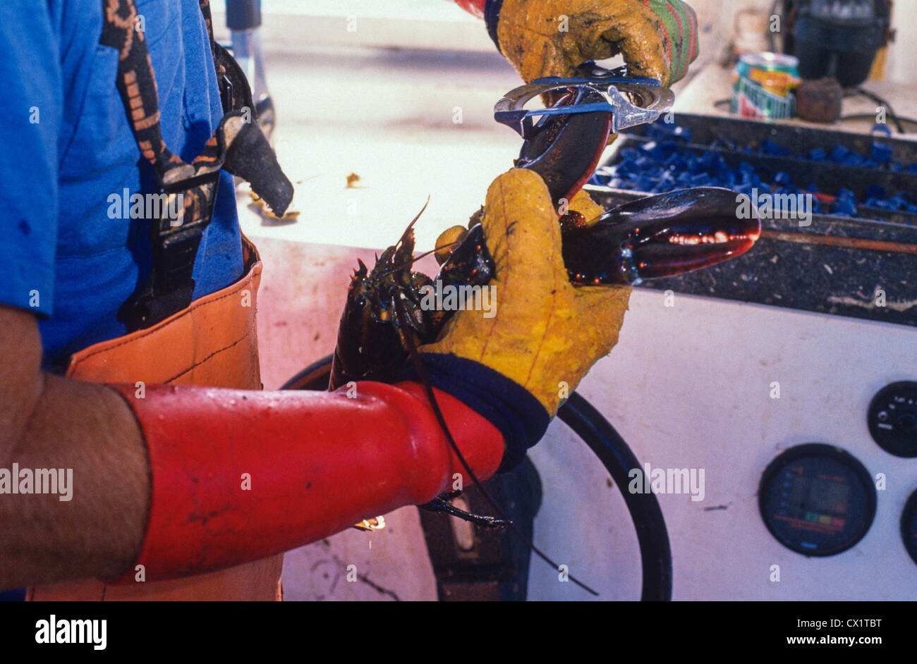 Pêcheur de homard Homard une bandes le long de la côte du Maine. Banque D'Images