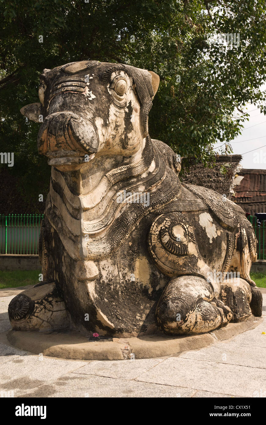 Elk201-4096v l'Inde, Tamil Nadu, Kanchipuram, Kailasanatha Temple, statue de Nandi Banque D'Images