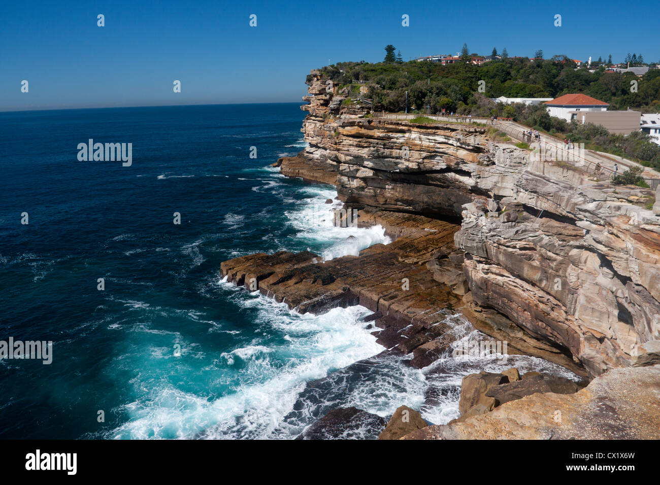 L'écart d'une des falaises du suicide local bien connu près de la tête du Sud Sydney New South Wales Australie Banque D'Images