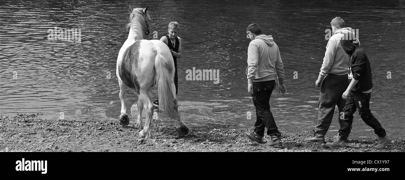 4 jeunes conduire un cheval à l'eau à un gitan foire aux chevaux à Appleby, Westmorland, North West England Banque D'Images