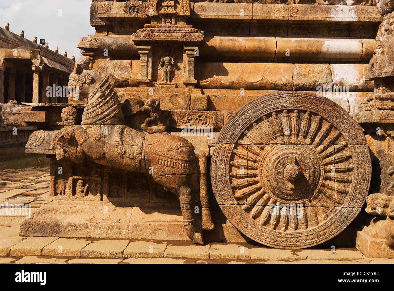 Le wapiti, le Tamil Nadu Inde201-4539, Dharasuram, Temple d'Airavatesvara, porche Banque D'Images