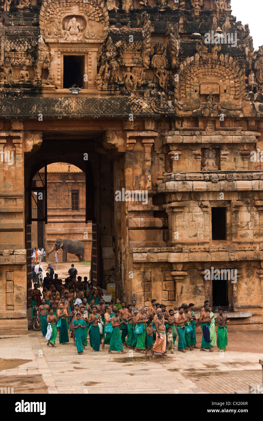 Elk201-4796v l'Inde, Tamil Nadu, Thanjavur, Brihadishwara Temple, pèlerins indiens Banque D'Images