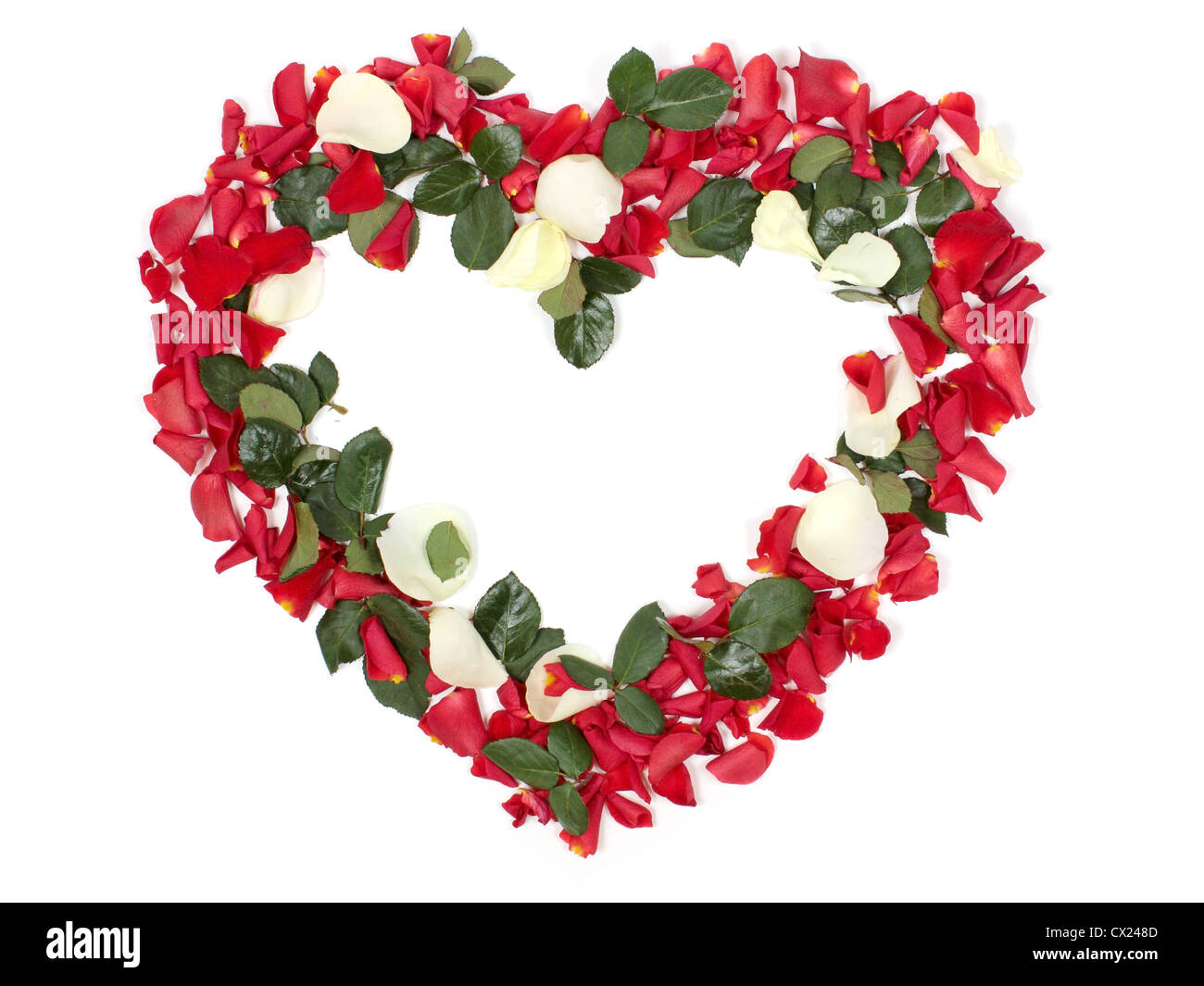 En forme de coeur bouquet de roses rouges et blanches sur fond blanc Photo  Stock - Alamy