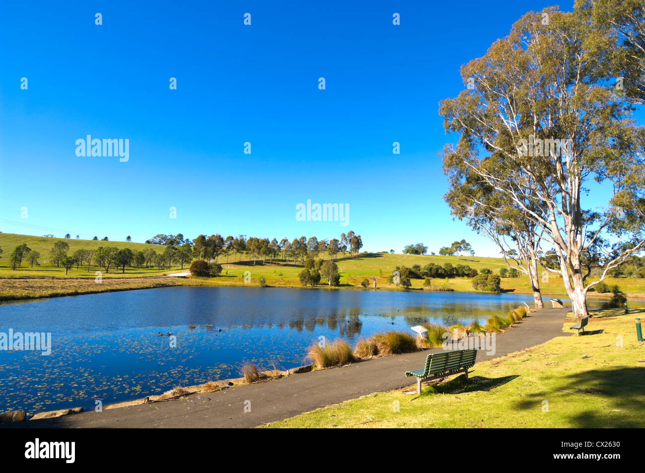 Jardin botanique de l'Australie, le Mont Annan, près de Sydney, New South Wales, Australia Banque D'Images