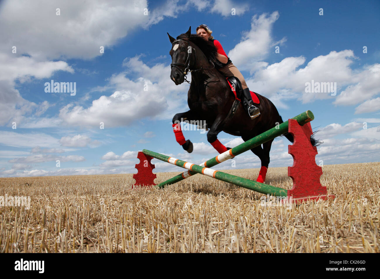 cheval femme Banque D'Images