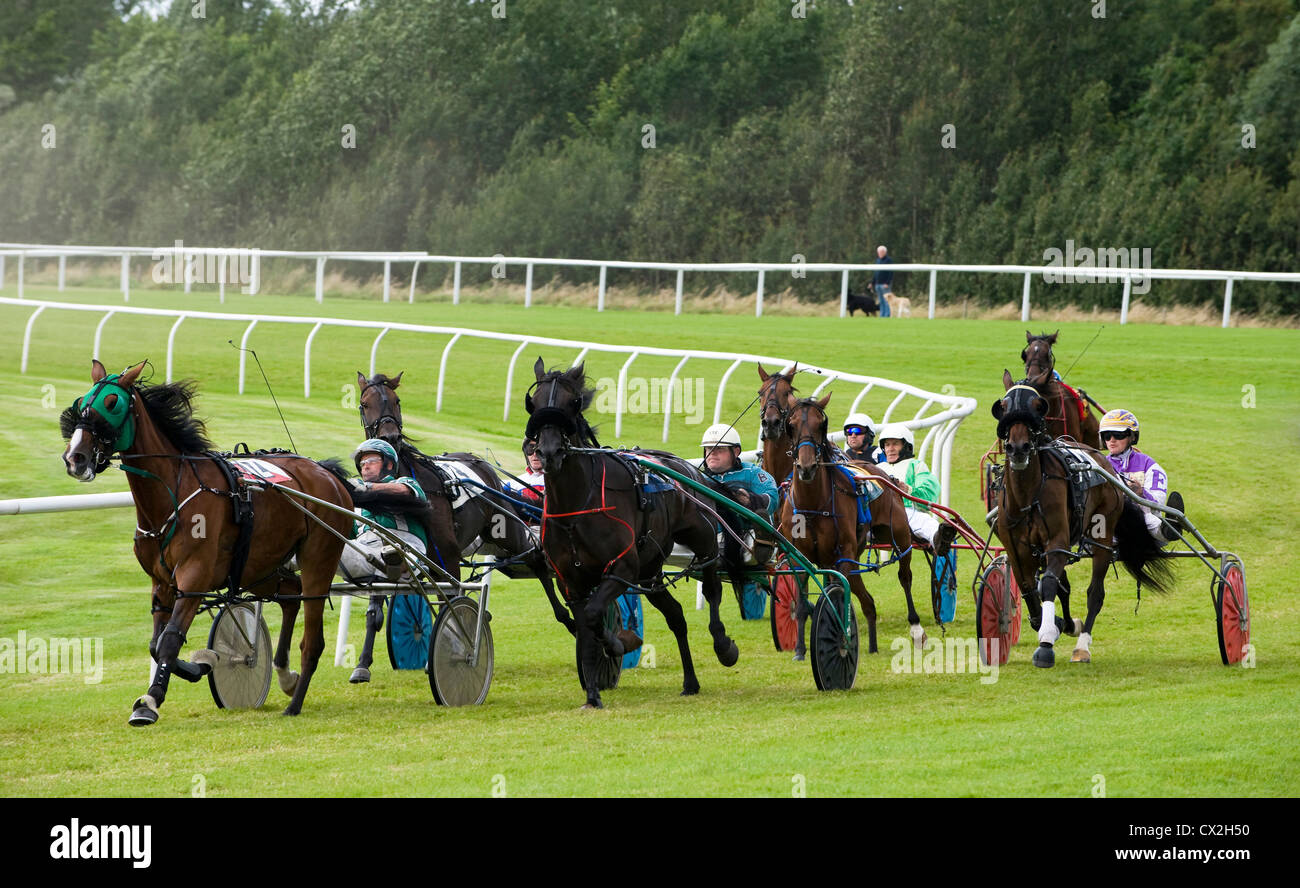 Harness Racing Musselburgh Racecourse. L'Ecosse Banque D'Images