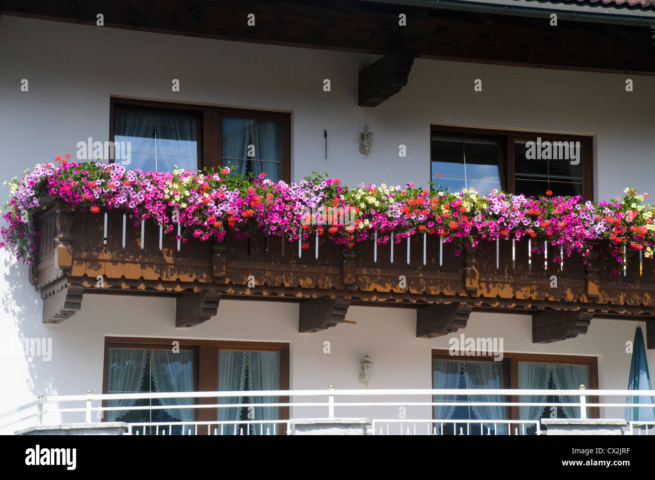 Autriche, Tyrol, Zillertal, Mayrhofen. Fleurs dans une fenêtre Banque D'Images