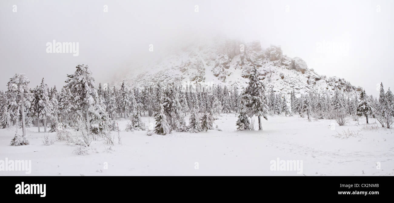 Paysage. Arbres et montagne enneigée Otkliknoy Greben. Forêt d'hiver. Parc national Taganay. De l'Oural. La Sibérie. La Russie. Banque D'Images