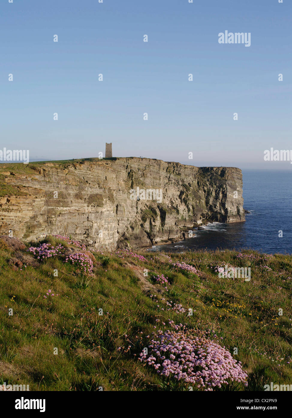 dh Kitchener Memorial MARWICK TÊTE ORKNEY Sea falaises oiseau RSPB nature reserve falaise top thrift scottish monuments scotla oiseaux ecosse royaume-uni Banque D'Images