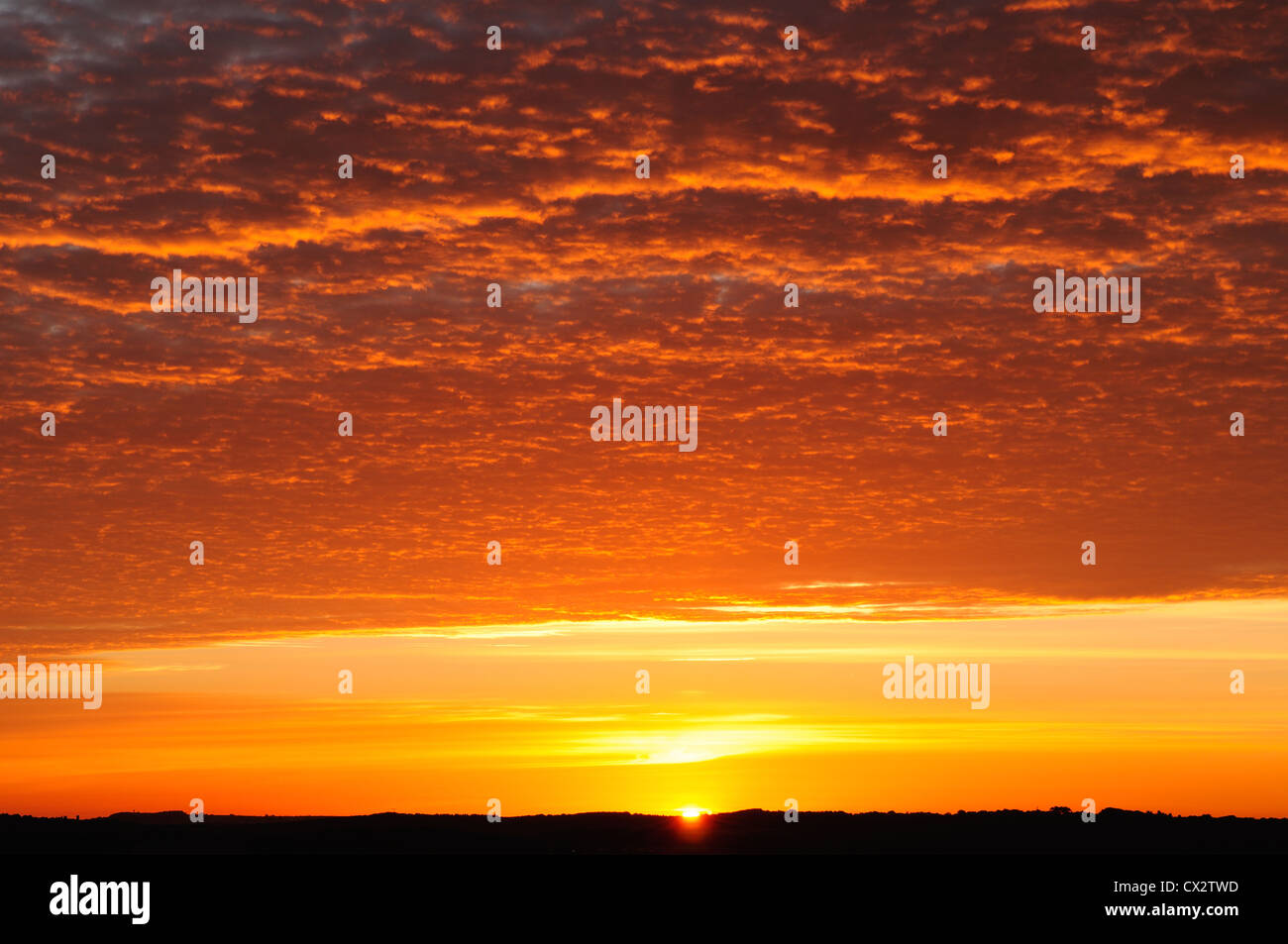 L'Altocumulus 'Mackerel Sky' au lever du soleil . Banque D'Images