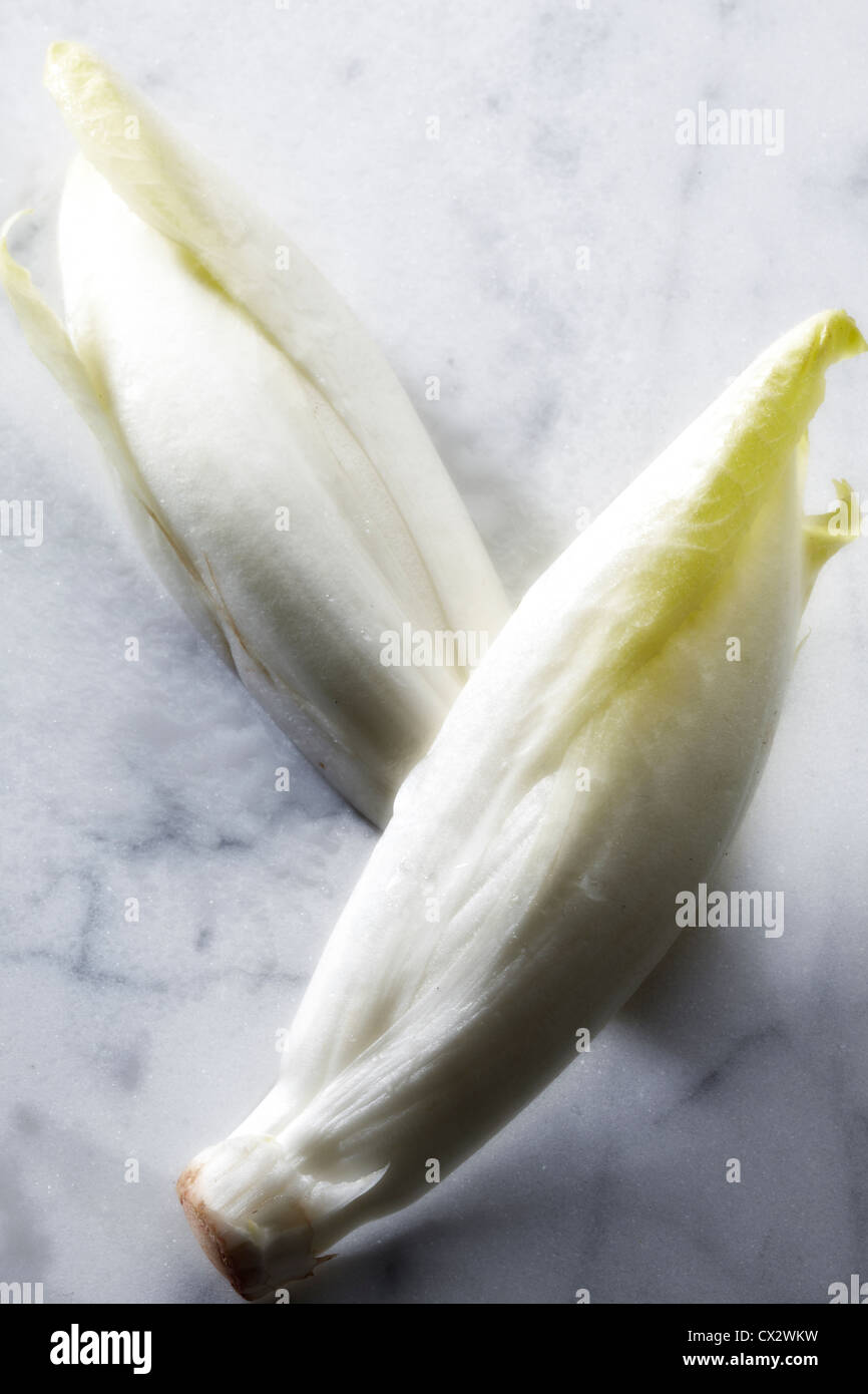 Endive Banque D'Images