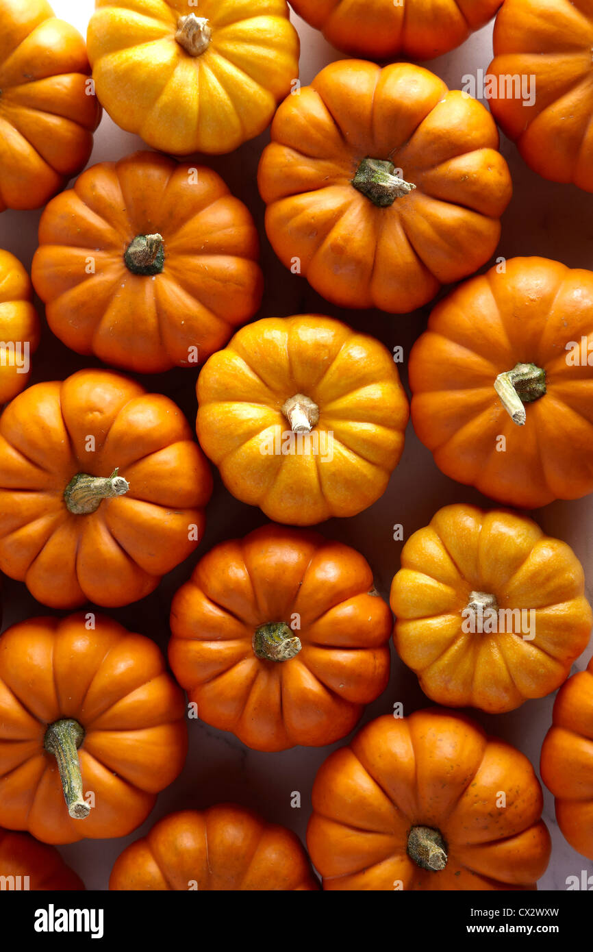 Pumpkins / squash Banque D'Images