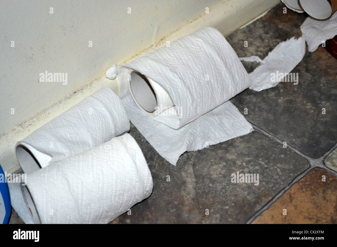 Salle de bains désordonnées des rouleaux de papier de toilette Banque D'Images