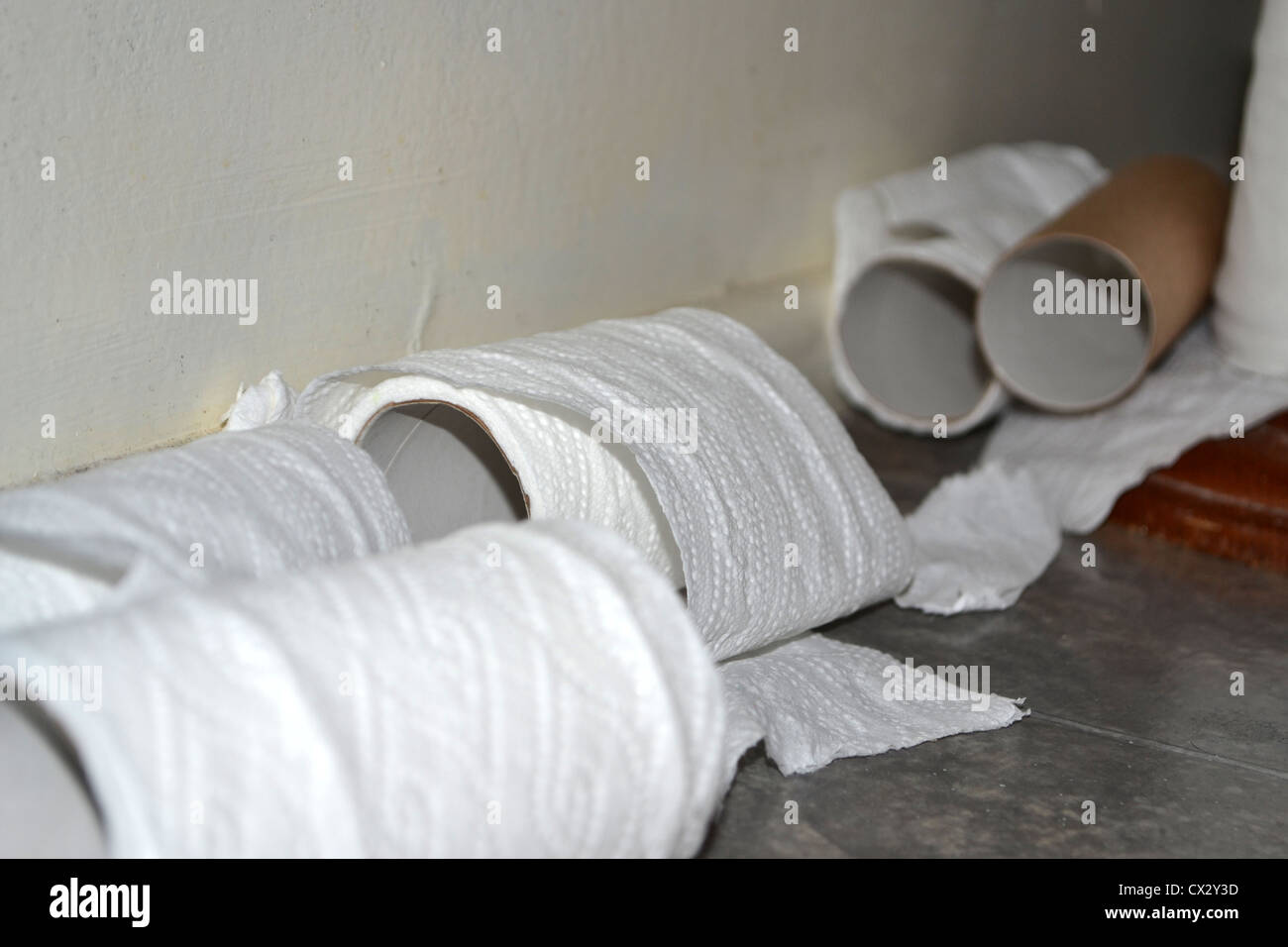 Salle de bains désordonnées des rouleaux de papier de toilette Banque D'Images