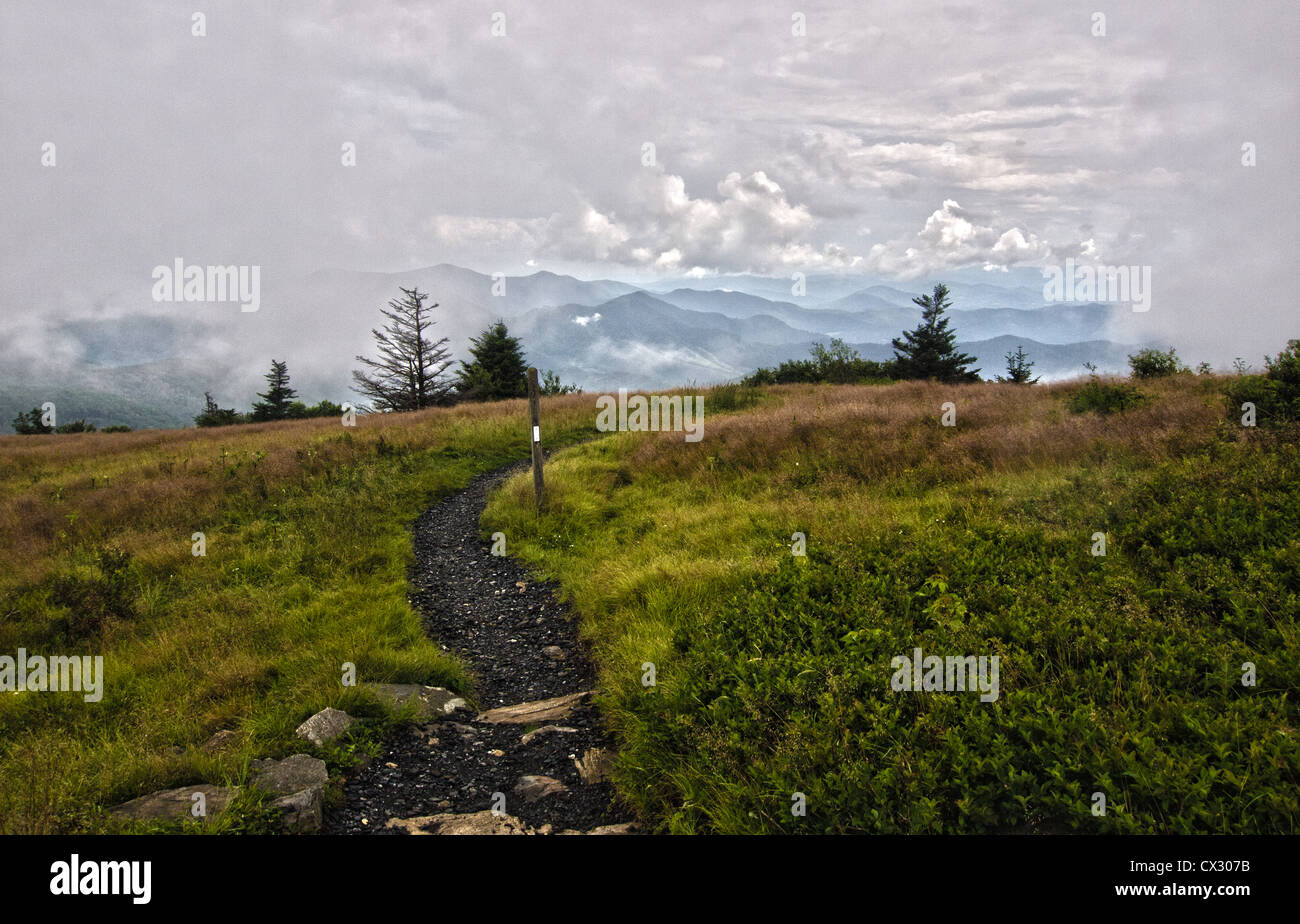 Roane Mountain NC Banque D'Images