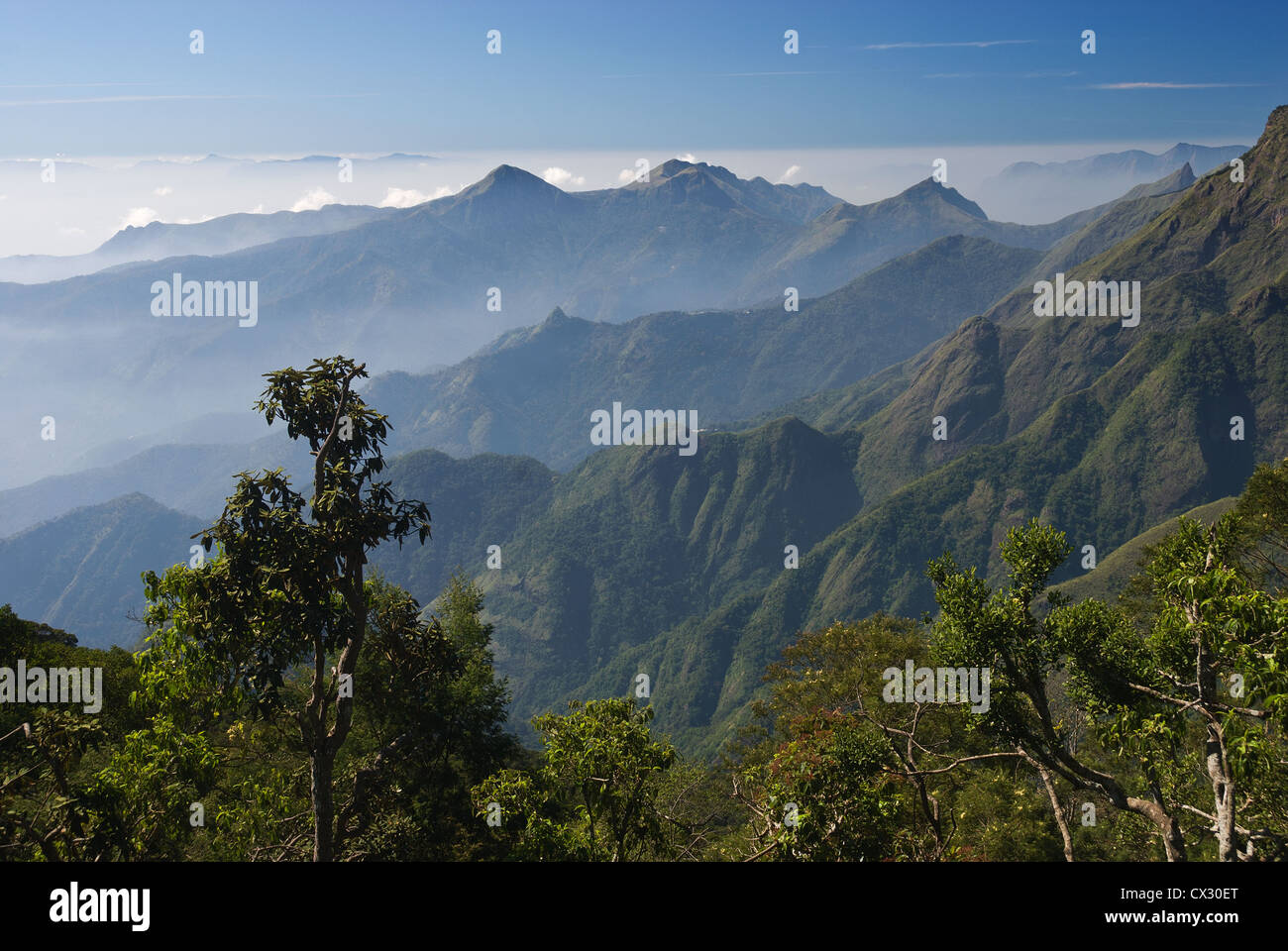 Le wapiti, le Tamil Nadu Inde201-5393, Kodaikanal, pilier Rocks Lookout, paysage Banque D'Images