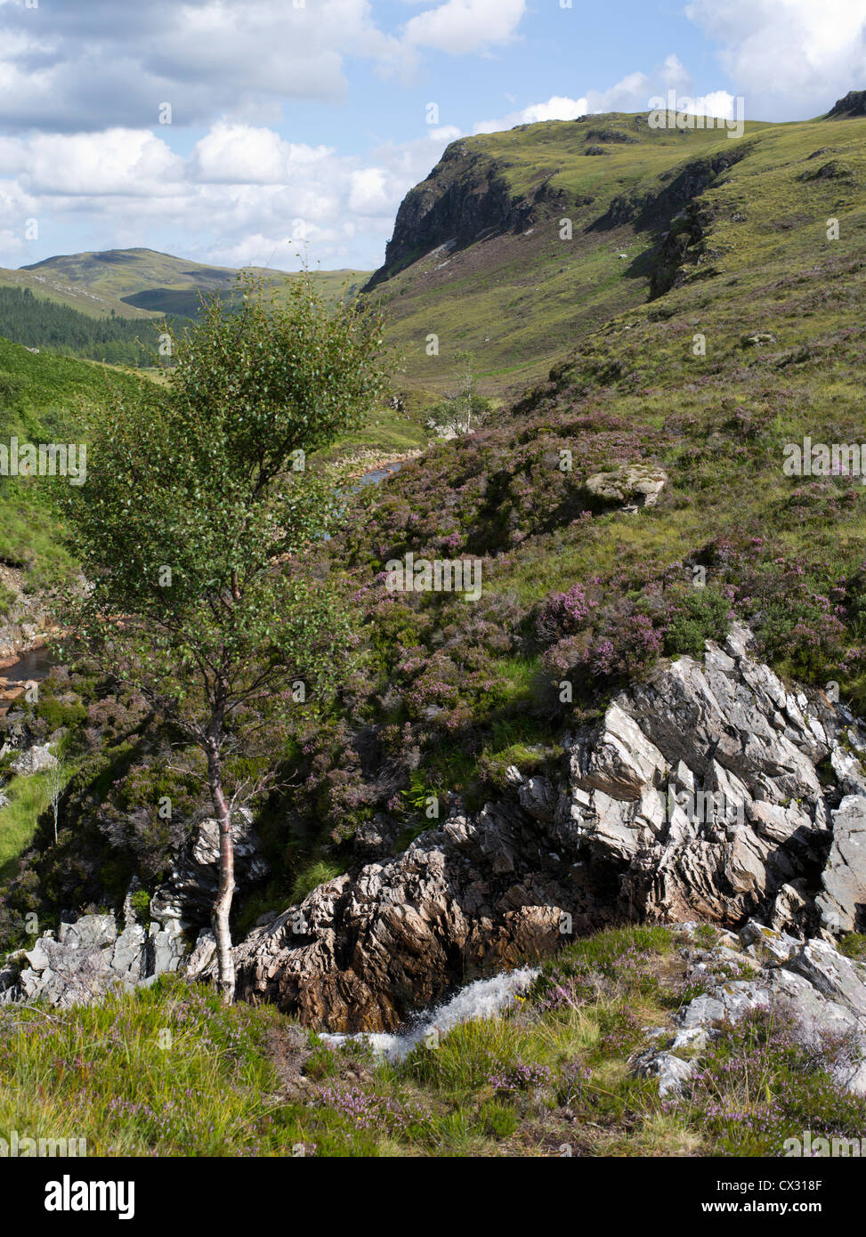 Dh glen DUNDONNELL RIVER SUTHERLAND seul arbre Scottish Highland Scenic Glen et craggy montagne campagne Banque D'Images