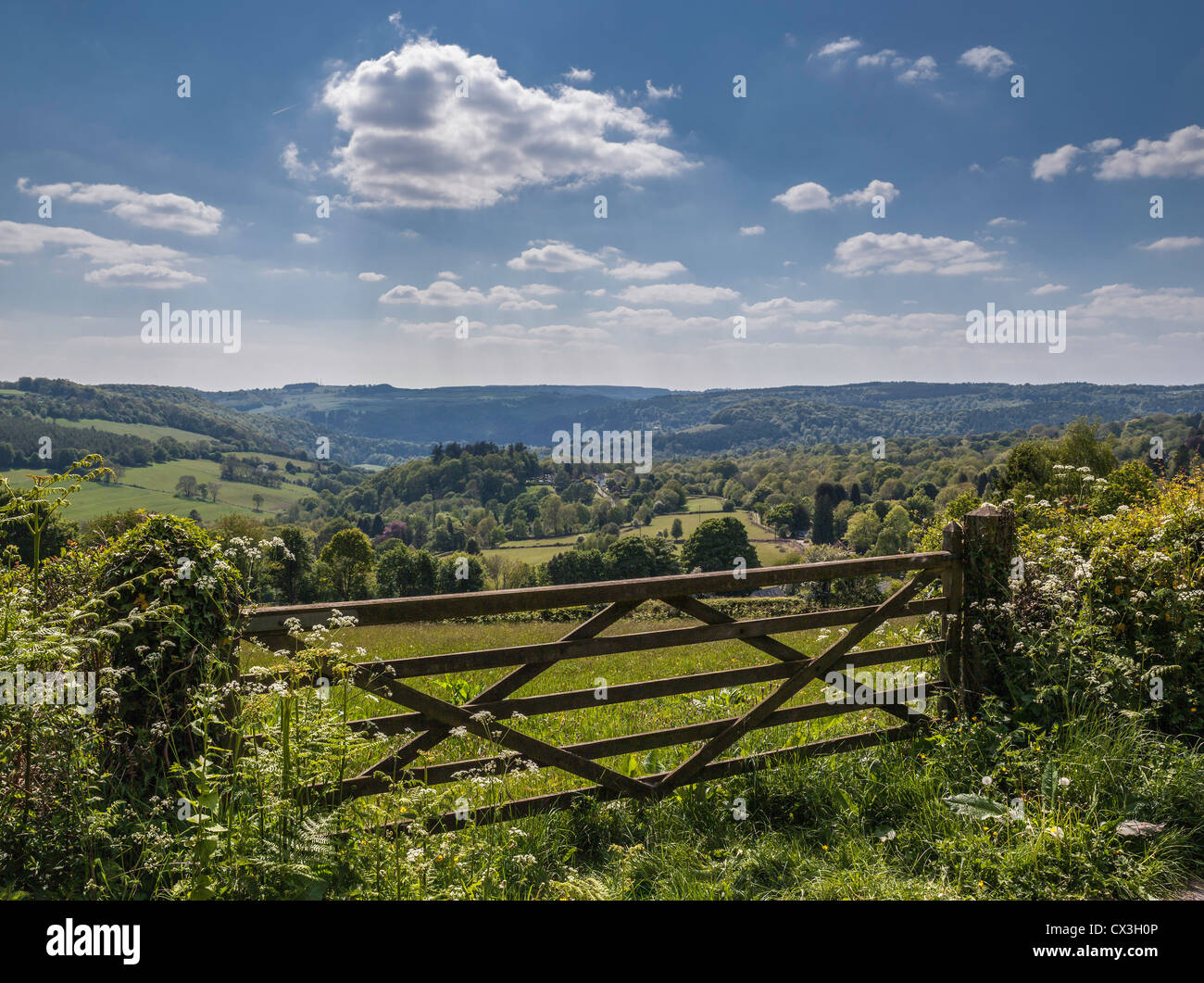 WYE VALLEY Au début de l'ÉTÉ D'HEWELSFIELD À LA COMMUNE SUR 5 GRILLE. Banque D'Images