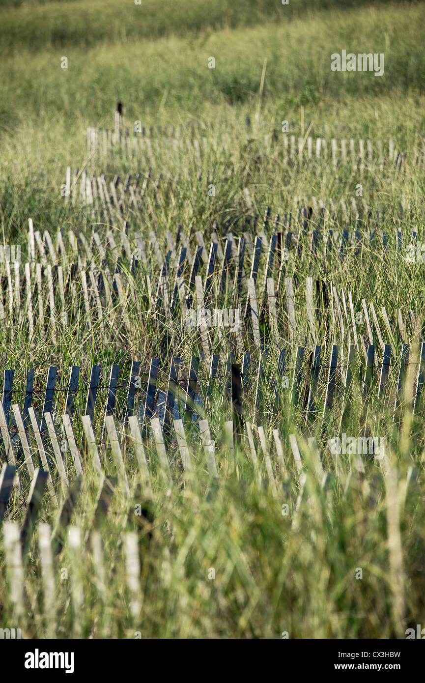 Clôture dune aide à protéger de l'érosion des dunes, Cape Cod, Massachusetts, USA Banque D'Images