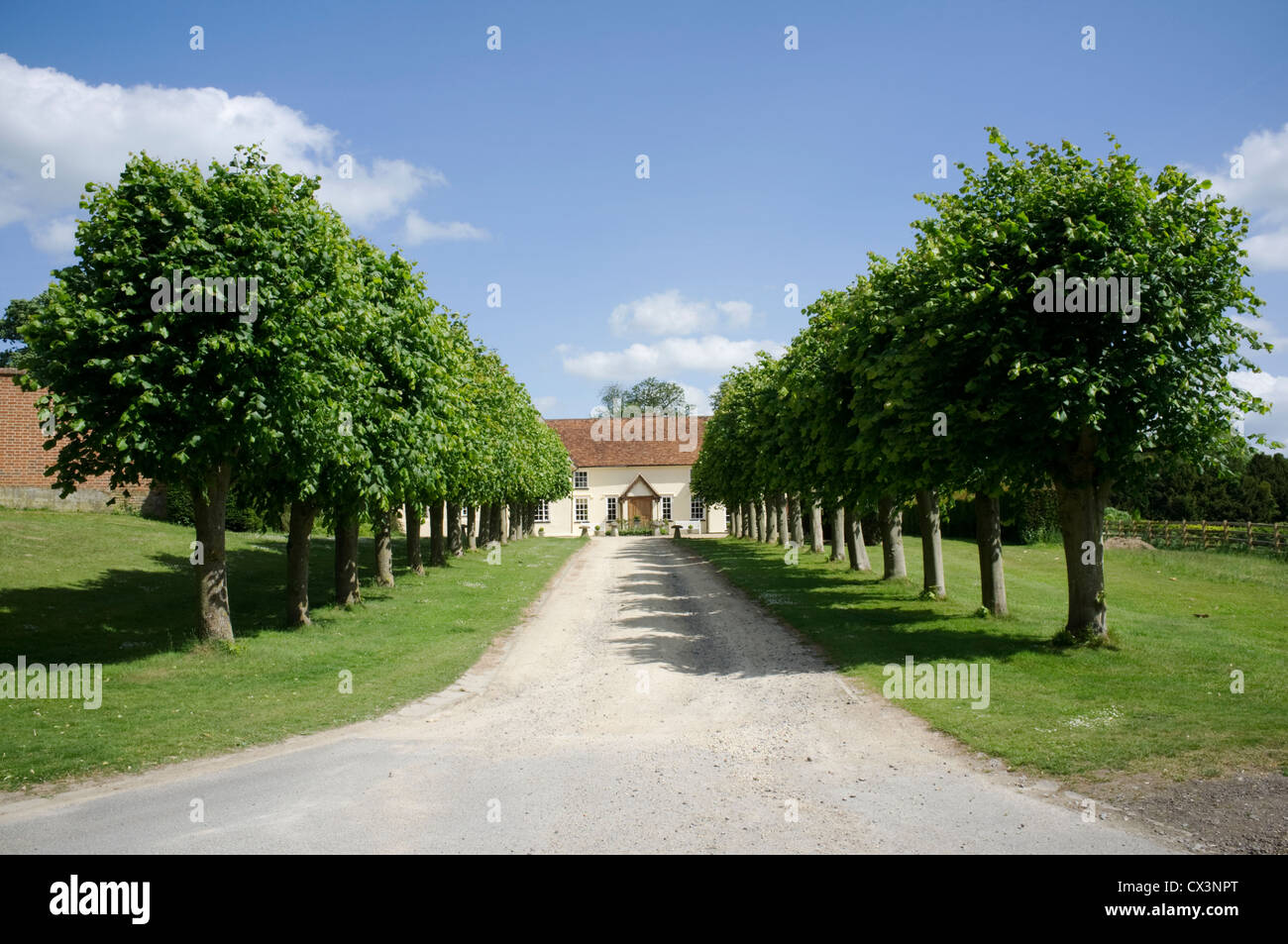 Une allée d'arbres menant une unité à un country house, East Hendred, Vale of White Horse, Oxfordshire Banque D'Images