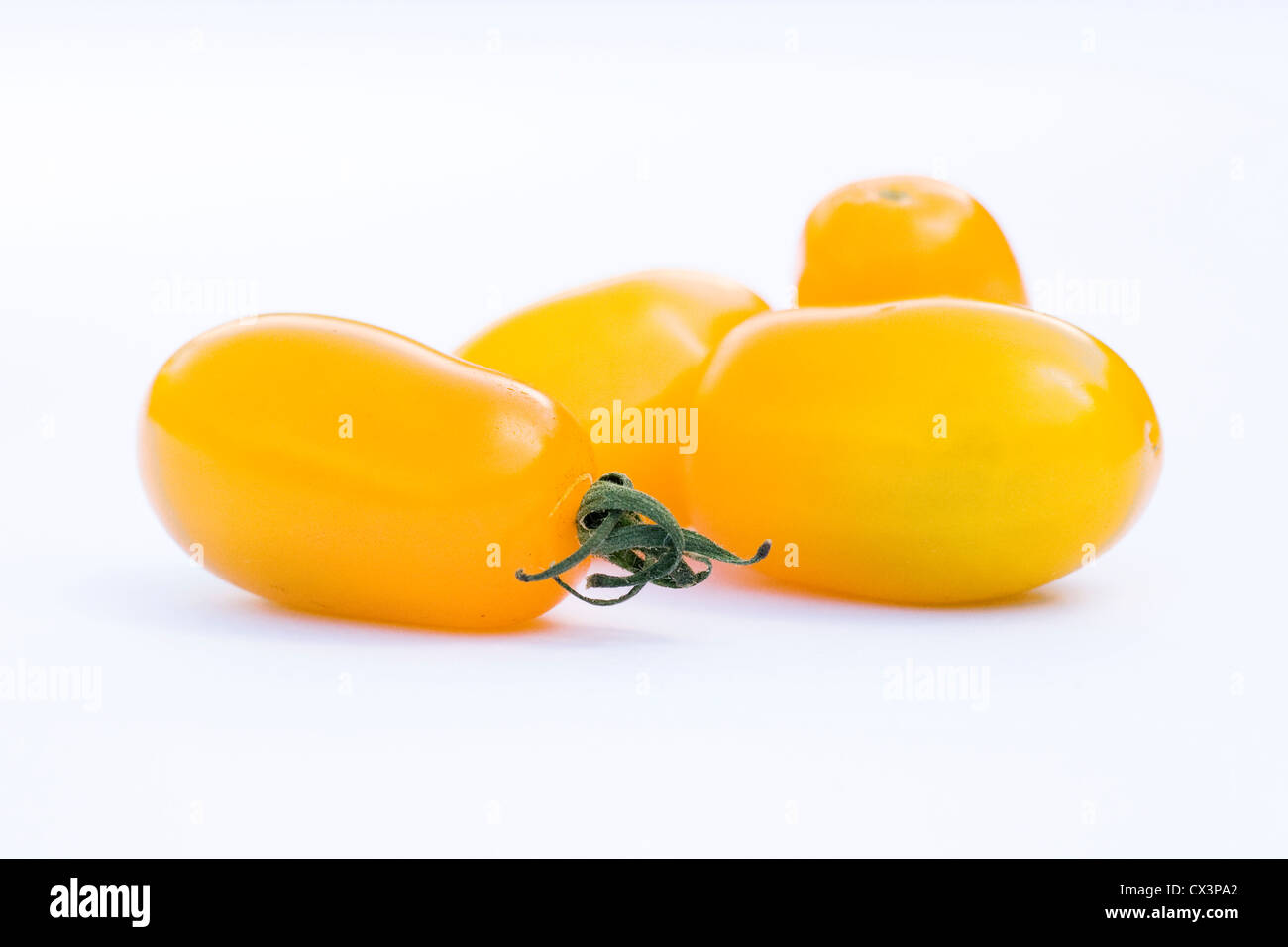 Lycopersicon esculentum. Quatre tomates jaunes sur un fond blanc. Banque D'Images