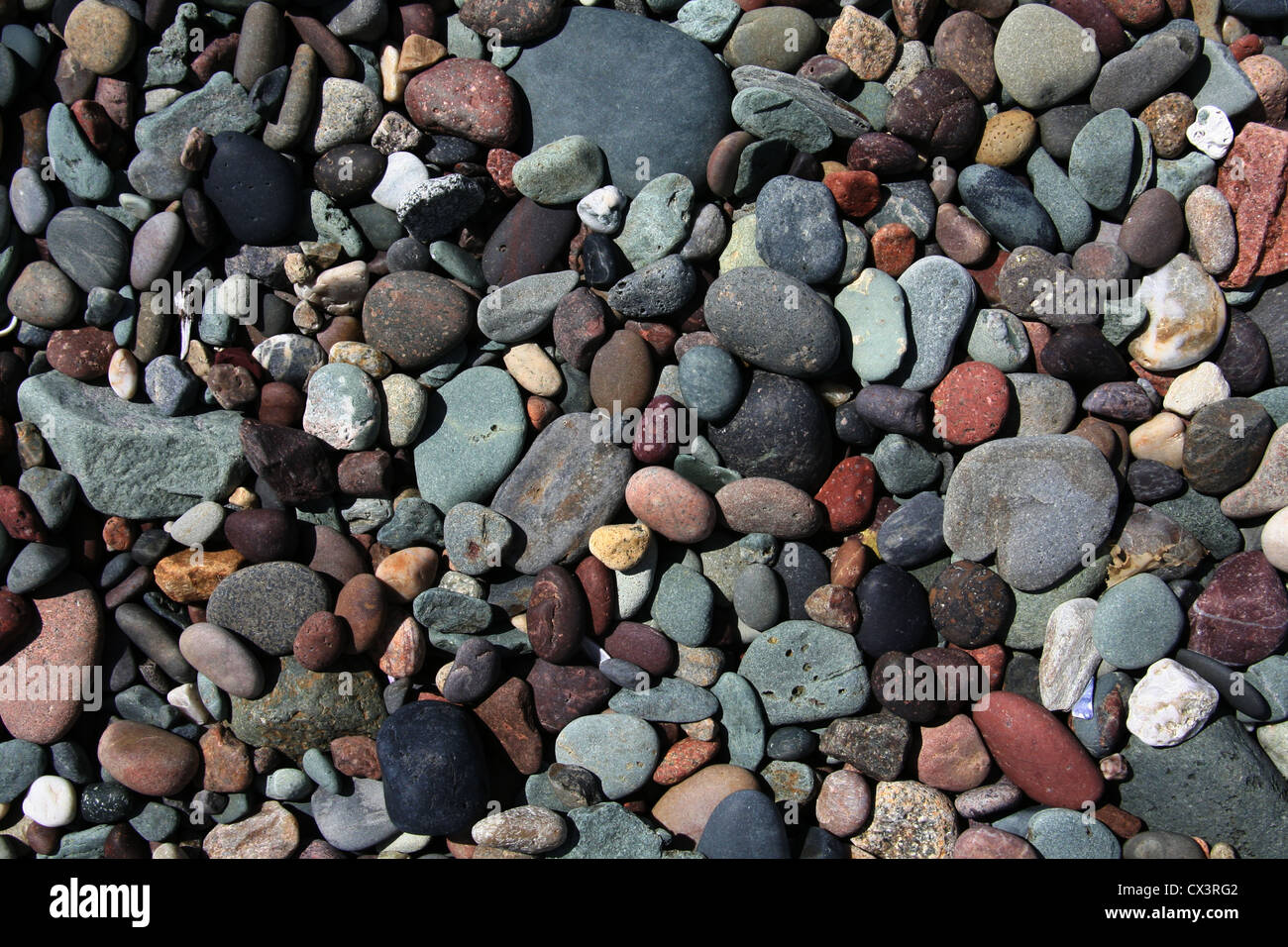 Cailloux humides, brillants et pierres sur une plage de galets Banque D'Images