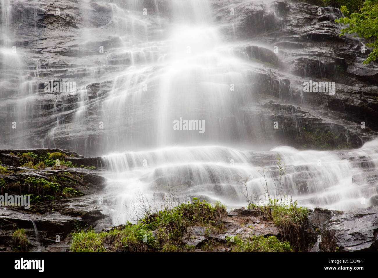 Cool, cascade rafraîchissante, descendant en rochers avec arbres et arbustes le chevet de l'eau débit chute Banque D'Images