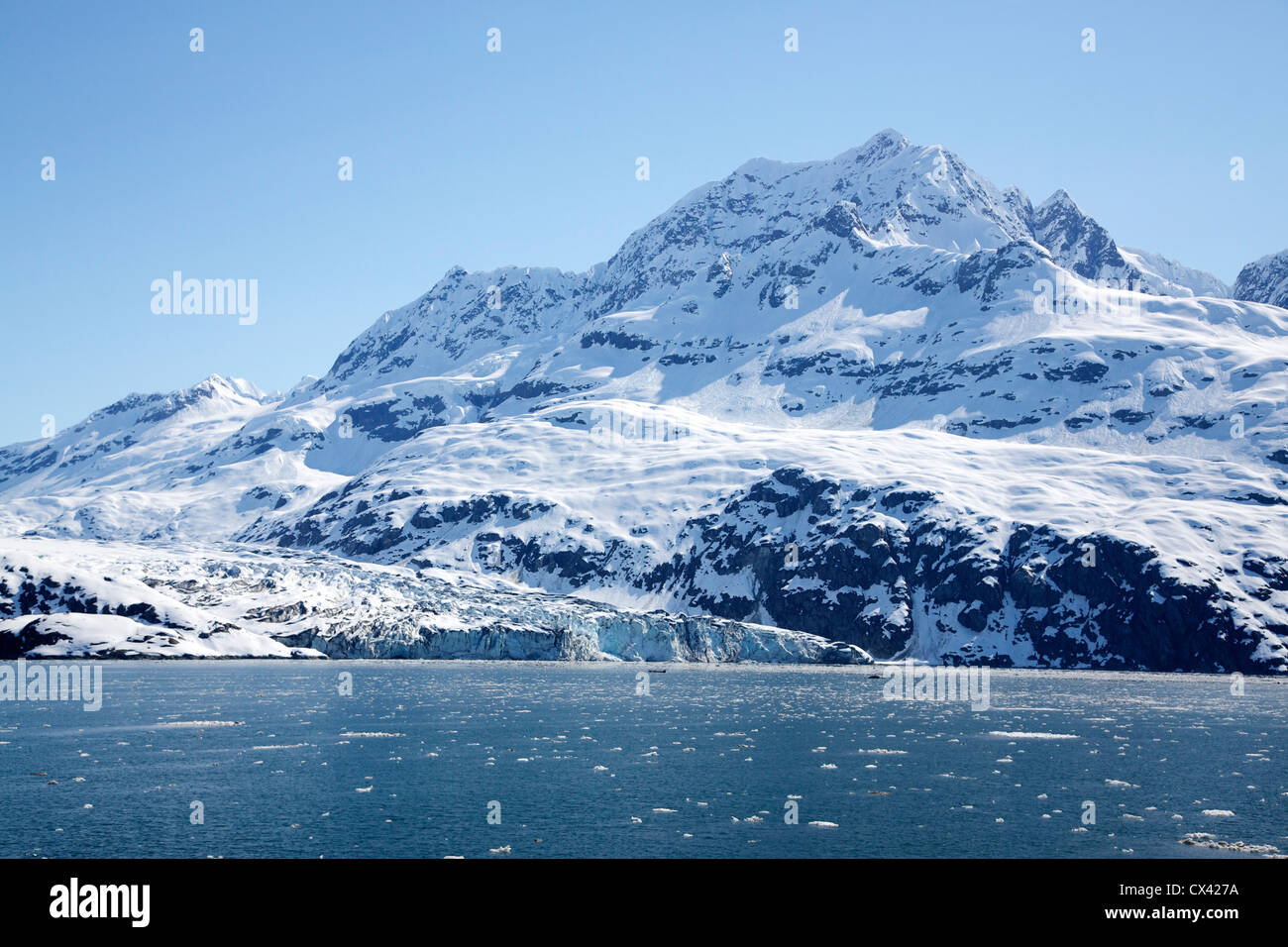 Lamplugh Glaciers et du tonnelier. Le parc national Glacier Bay en Alaska. Banque D'Images