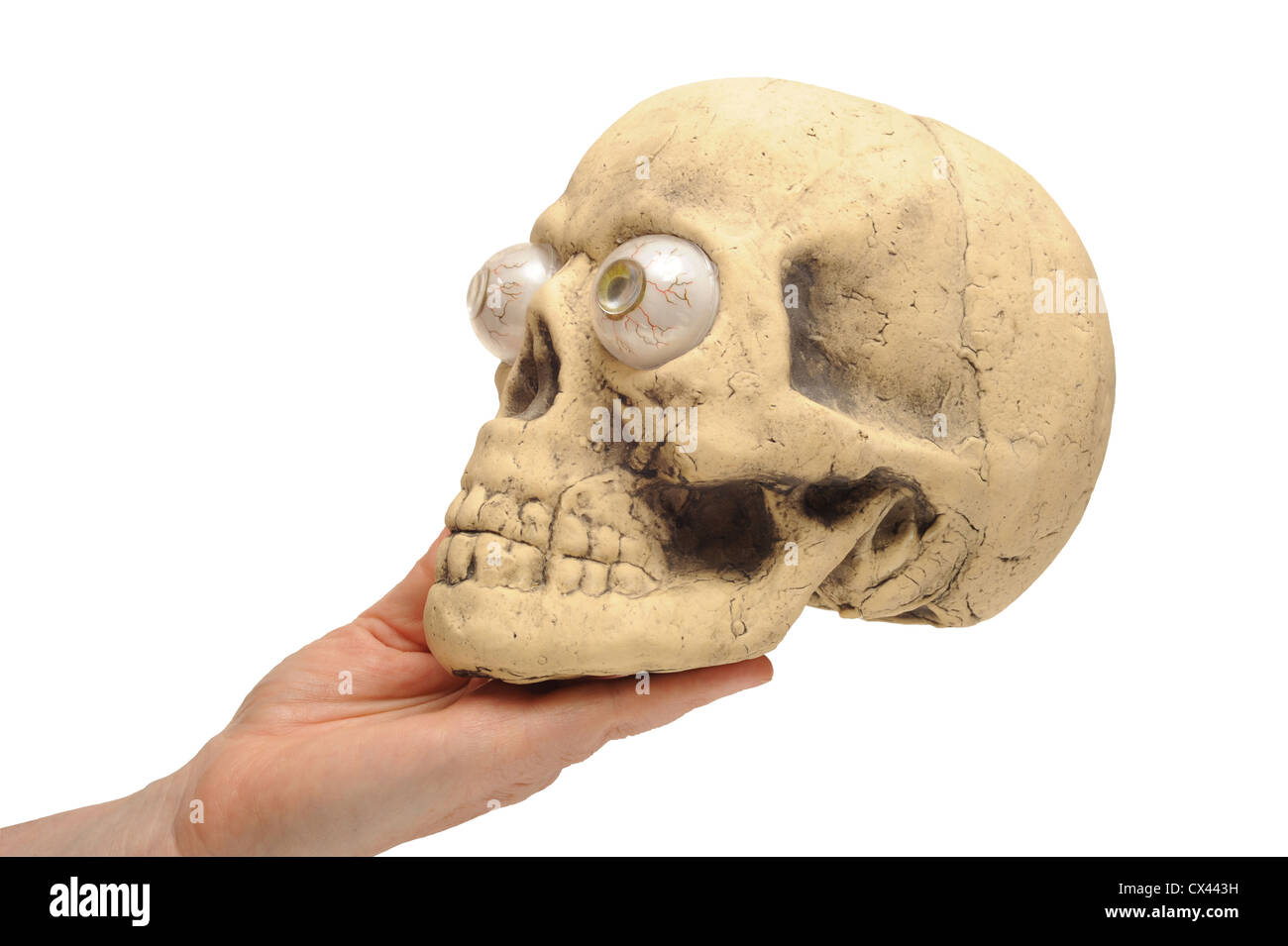Human hand holding prétendre crâne humain Banque D'Images