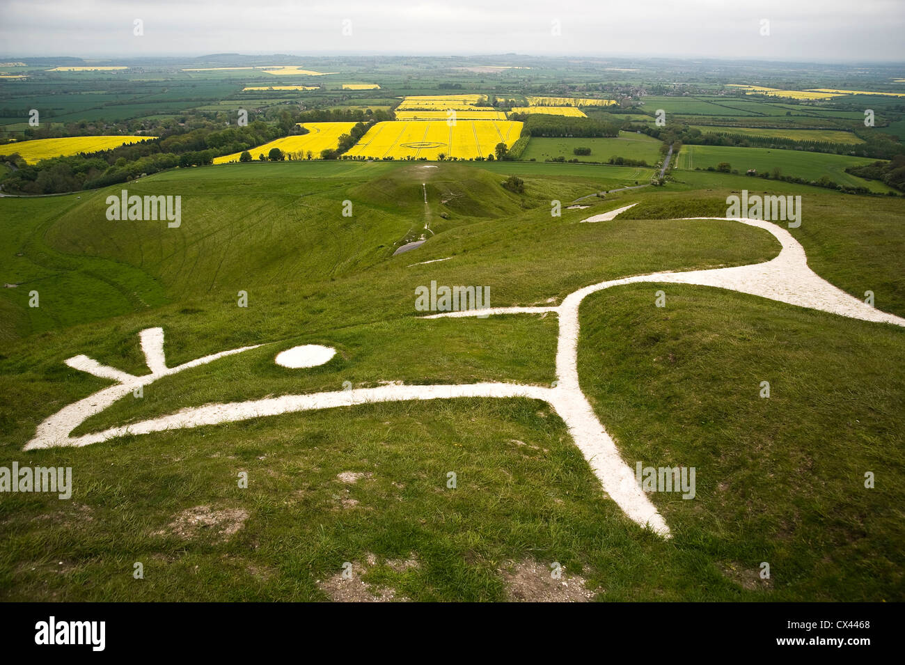 L'Uffington White Horse, la crèche et Dragon Hill sur le Ridgeway, Oxfordshire, UK Banque D'Images