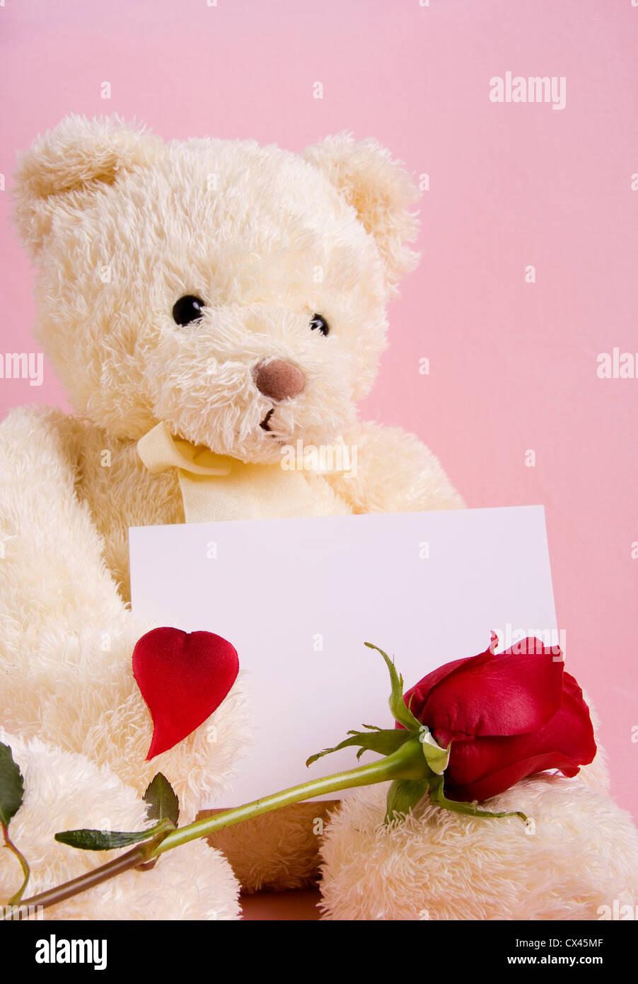 Valentine concept - un bel ours avec des roses et une carte avec l'emplacement pour un texte Banque D'Images