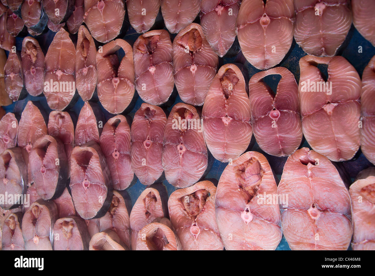 Pour la vente de thon, Sapanpah marché aux poissons, Chon Buri, Thaïlande Banque D'Images