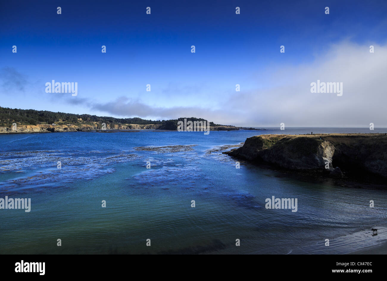 Rouleaux de brouillard dans Mendocino headlands et bay, Mendocino County, Californie, USA Banque D'Images