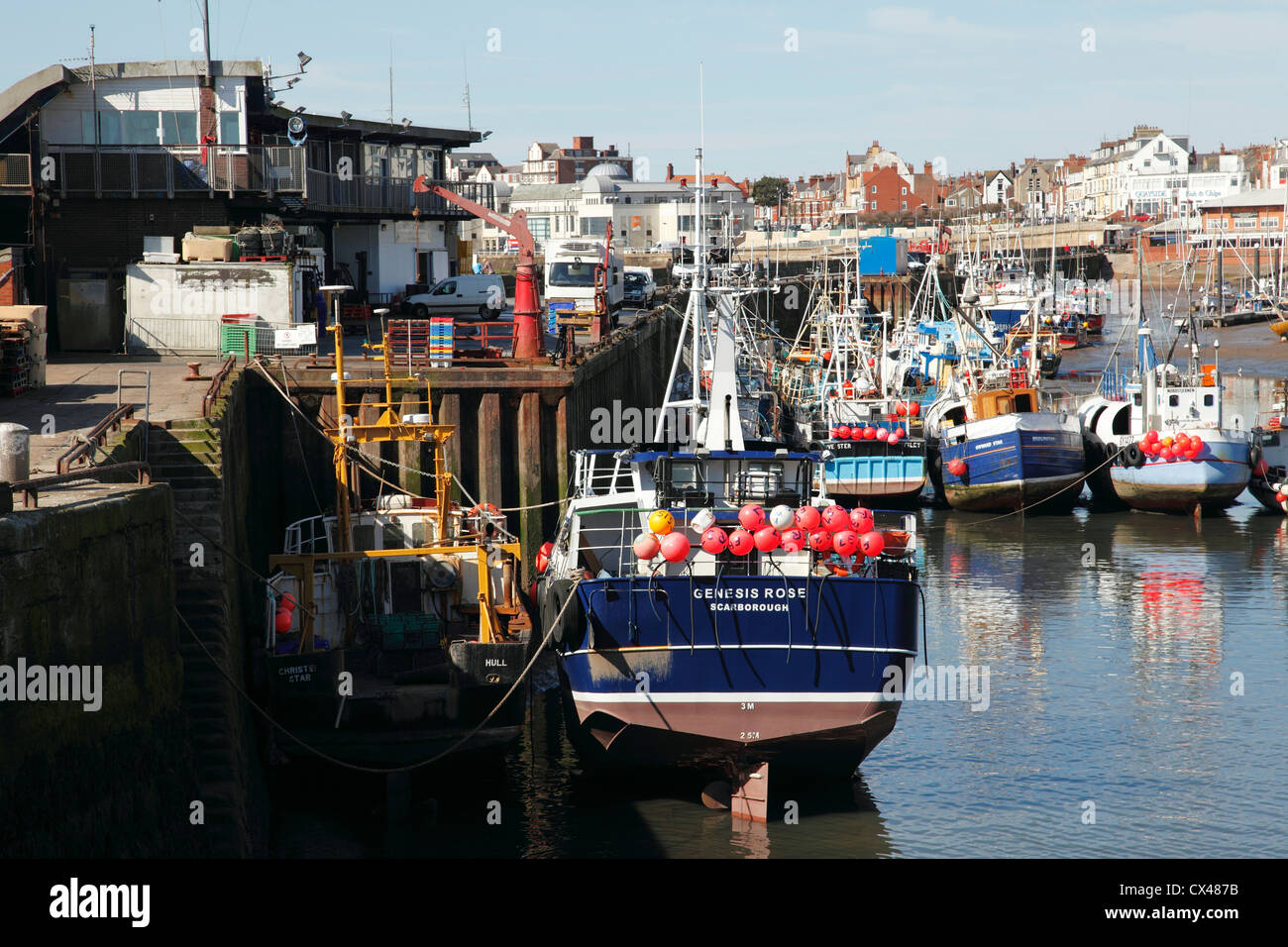 Les chalutiers de pêche dans le port de Bridlington, East Riding, Angleterre, Royaume-Uni Banque D'Images