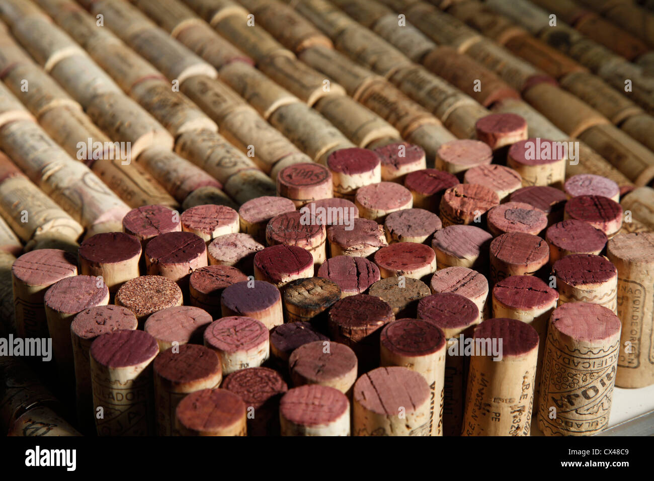 Wine corks disposées en lignes Banque D'Images
