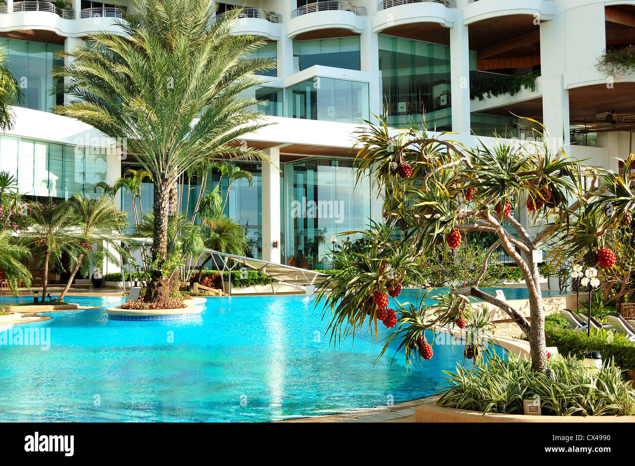 Piscine et palmiers à l'hôtel de luxe, Pattaya, Thaïlande Banque D'Images