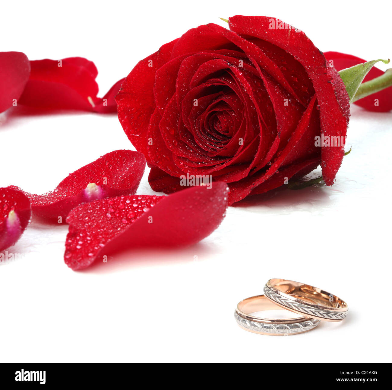 Les anneaux de mariage et de roses rouges Banque D'Images