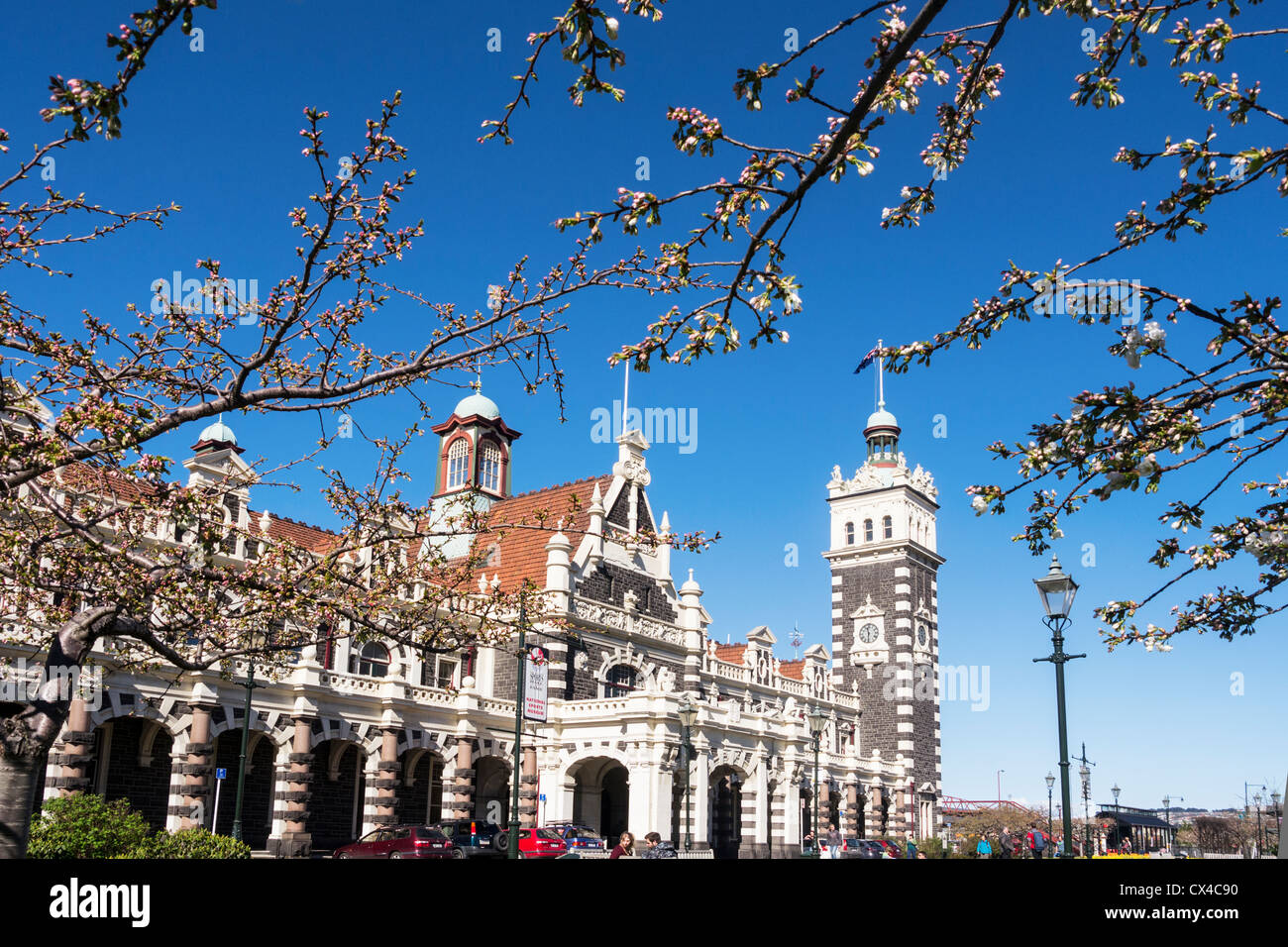 La gare de Dunedin et fleur de printemps. Banque D'Images