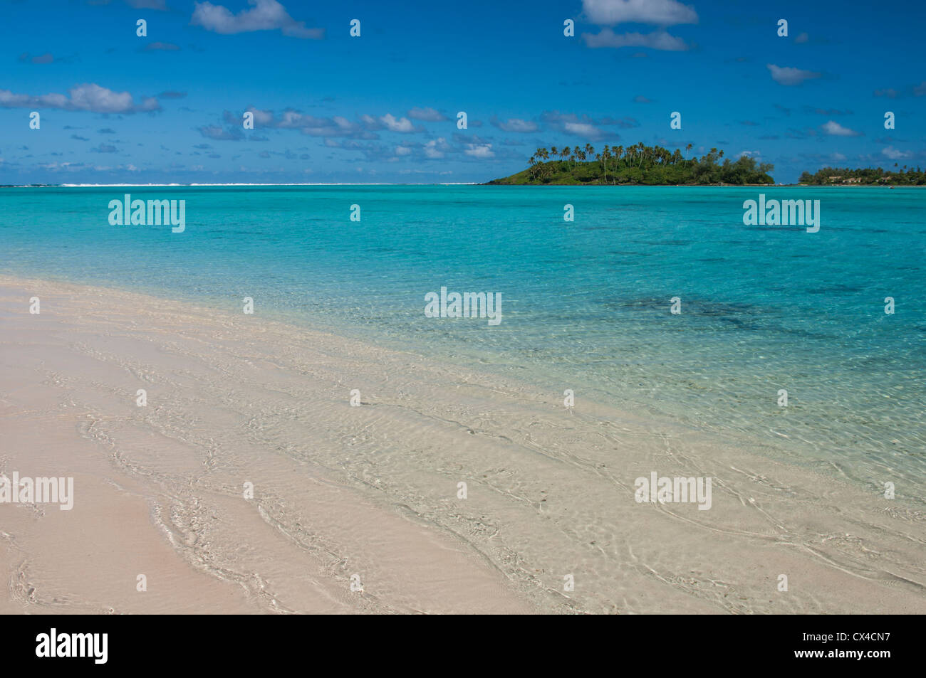 L'île couverte de palmiers ou motu de Taakoka dans l'eau turquoise de la lagune Muri. Rarotonga, îles Cook Banque D'Images