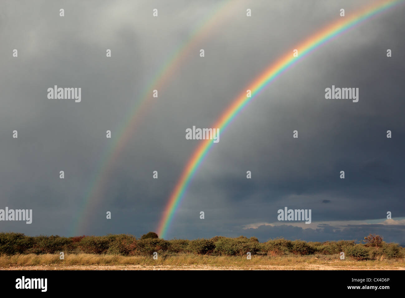 Paysage rural avec un arc-en-ciel coloré et lourds nuages de pluie, le sud de l'Afrique Banque D'Images