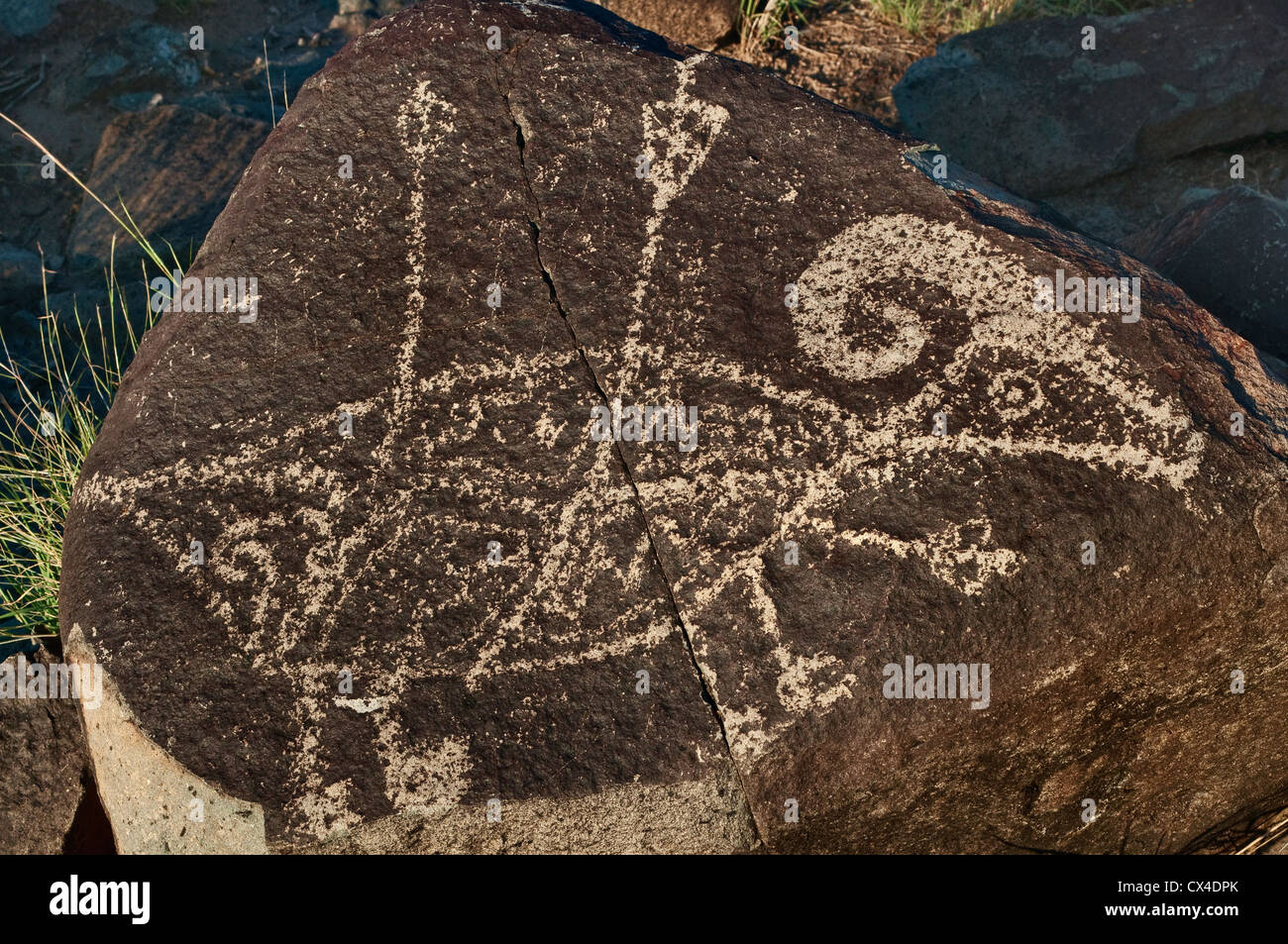 Le mouflon d'atteindre avec des flèches en Jornada Mogollon style rock art Site de pétroglyphes aux Trois Rivières, près de la Sierra Blanca, Nouveau Mexique Banque D'Images