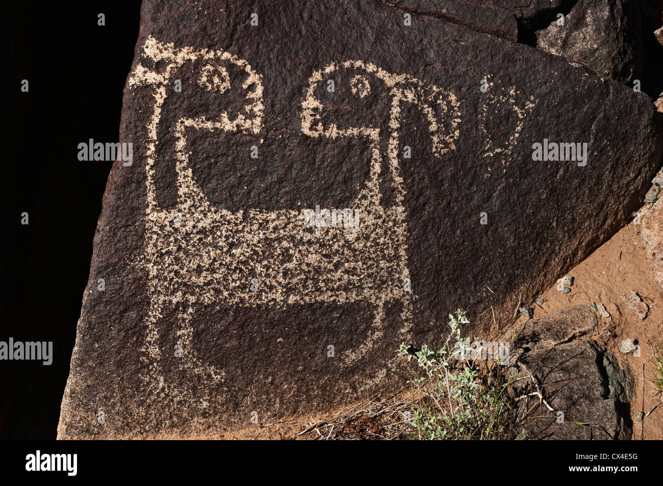 La chèvre à deux têtes, de pétroglyphes Jornada Mogollon style rock art Site de pétroglyphes aux Trois Rivières, près de la Sierra Blanca, New Mexico, USA Banque D'Images