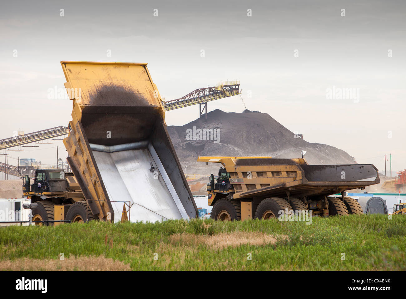Les camions-benne massif utilisé dans l'exploitation des sables bitumineux. Les sables bitumineux sont le plus grand projet industriel de la planète, Banque D'Images