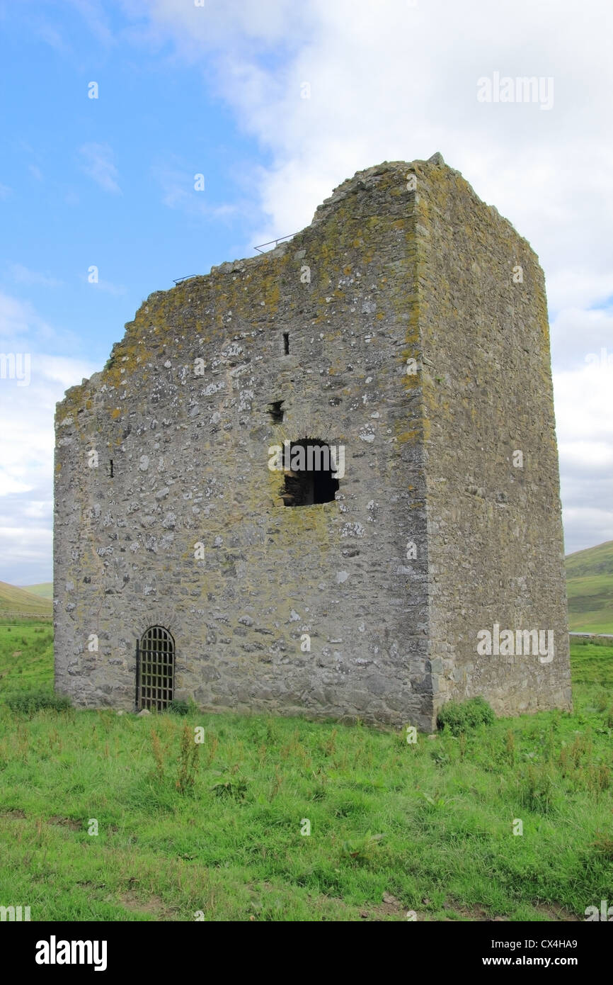 Dryhope, Tour de la vallée supérieure de l'achillée, Borders, Scotland, UK Banque D'Images