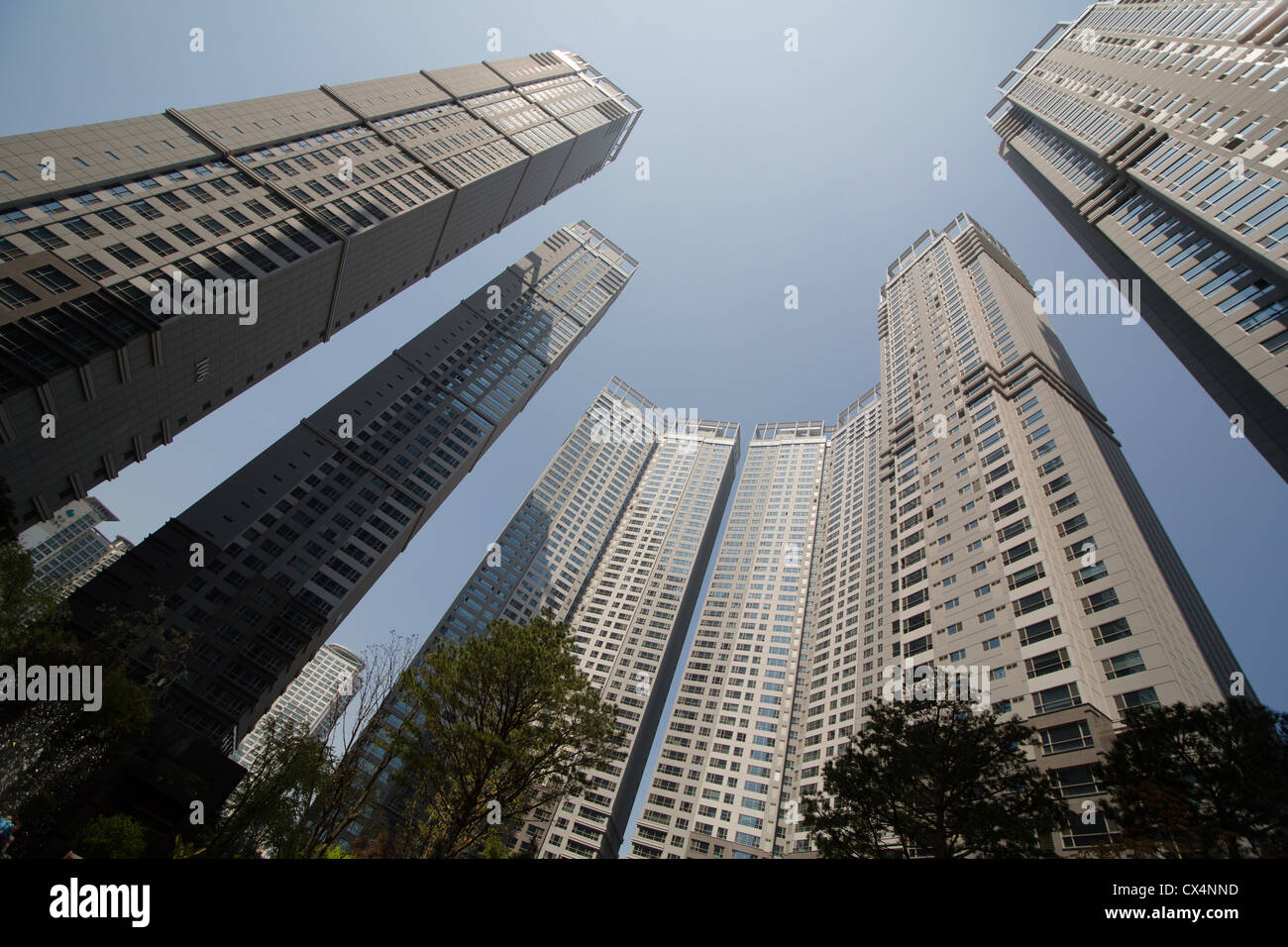 Tours de l'apogée des tours d'immeubles en copropriété à Daegu, Corée du Sud Banque D'Images