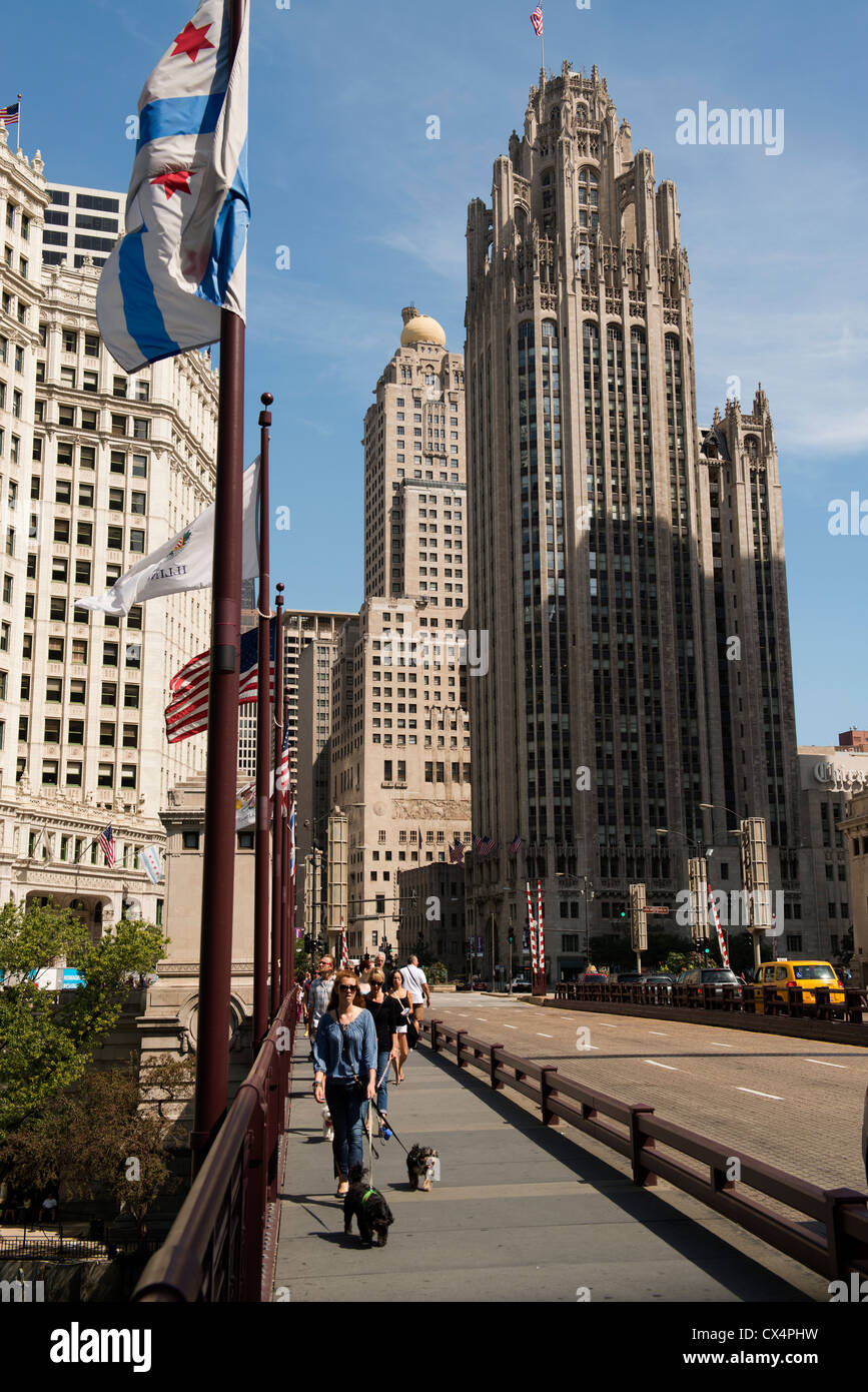 Des chiens a traversé la rivière Chicago le long de Michigan Avenue avec les immeubles de grande hauteur au-delà d'une journée ensoleillée. Banque D'Images