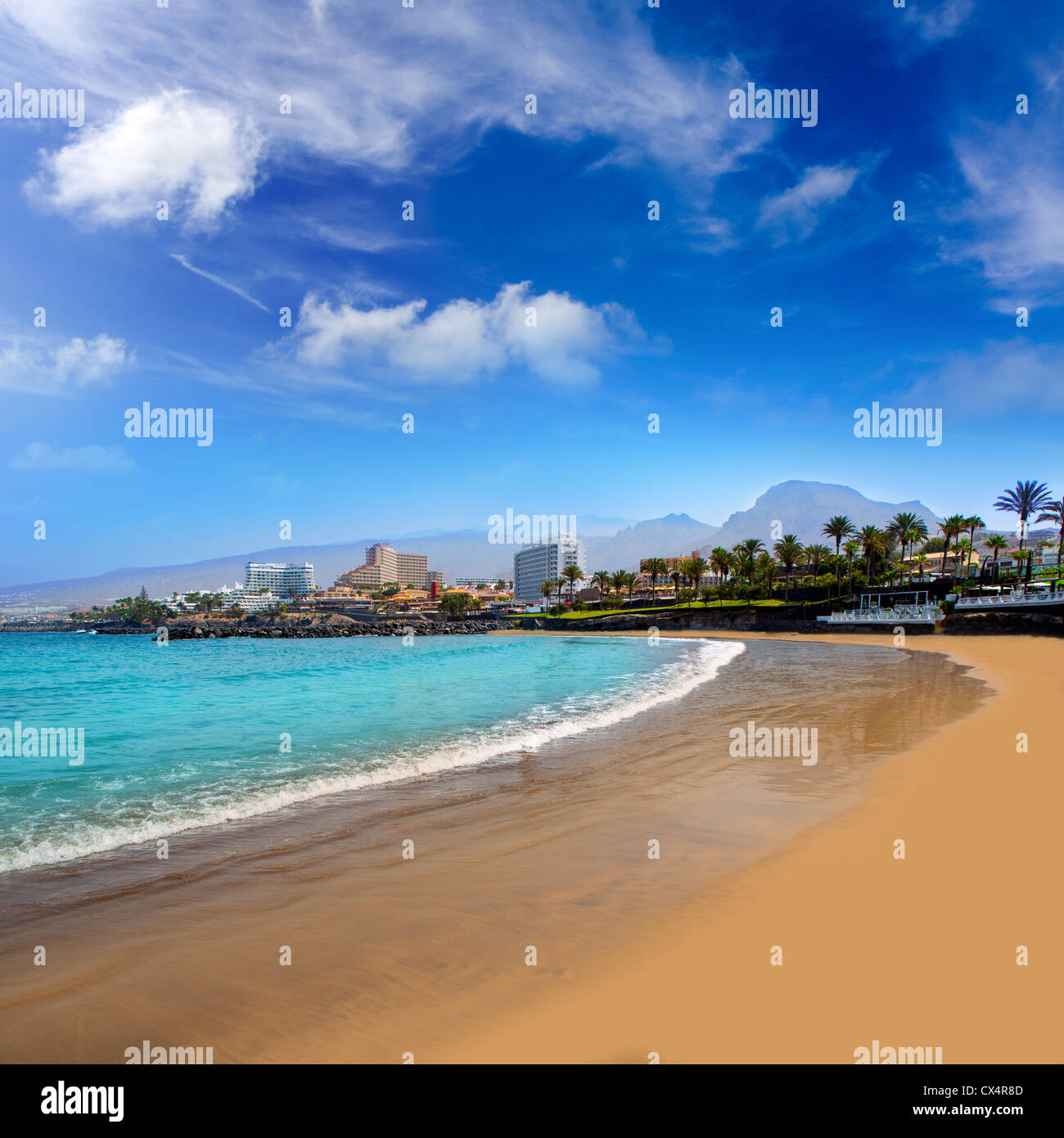 Las Americas Beach La plage de Costa Adeje au sud de Tenerife à Îles Canaries Banque D'Images
