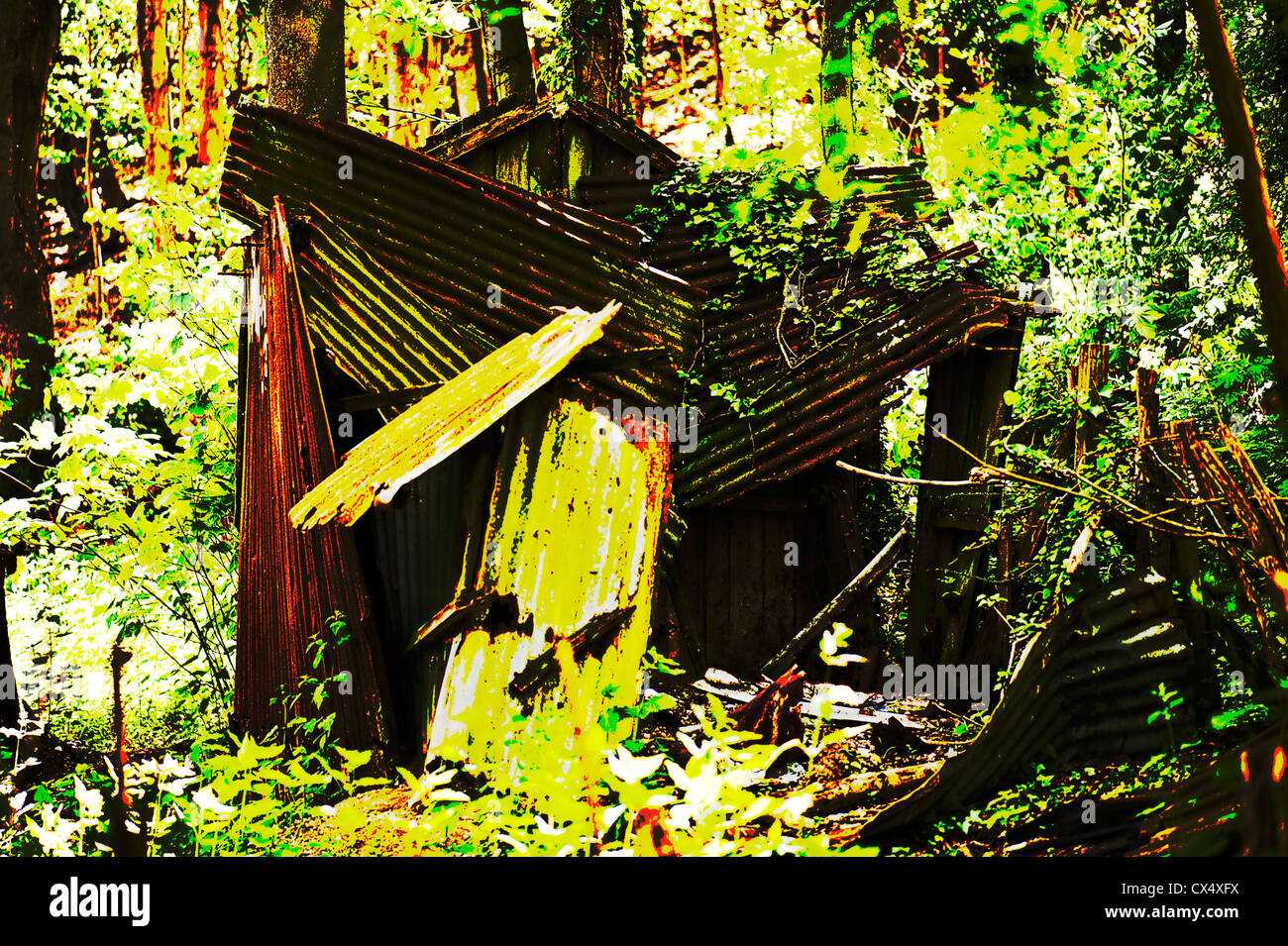 Image manipulée numériquement d'une cabane à l'abandon et abandonnés dans la forêt, Alriston, East Sussex, UK. Banque D'Images