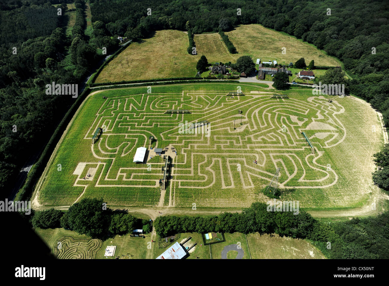 Vue aérienne de la ferme de Tulley Angry Oiseaux hommage labyrinthe de maïs près de Turners Hill, West Sussex Banque D'Images