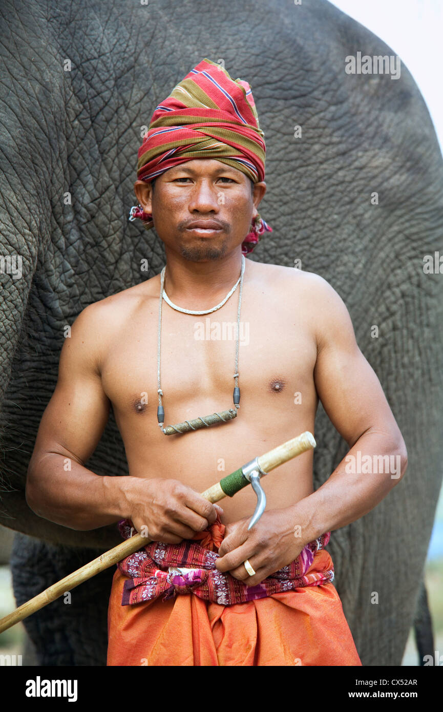 Un cornac Suai, au cours de l'éléphant Surin Round-up Festival à Surin, Thaïlande Banque D'Images